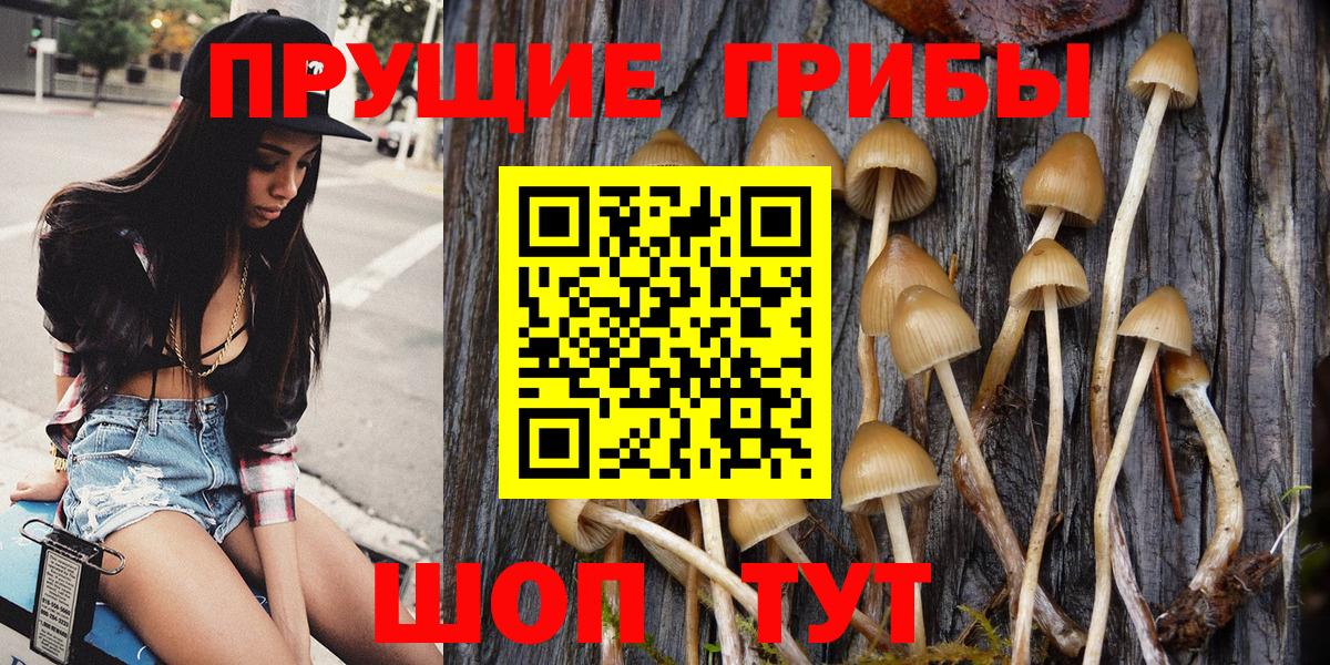 Улан-Удэ  Галлюциногенные грибы Psilocybe  цена   Псилоцибиновые грибы GOLDEN TEACHER  Вход с VPN 